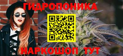 прущие грибы Ковров